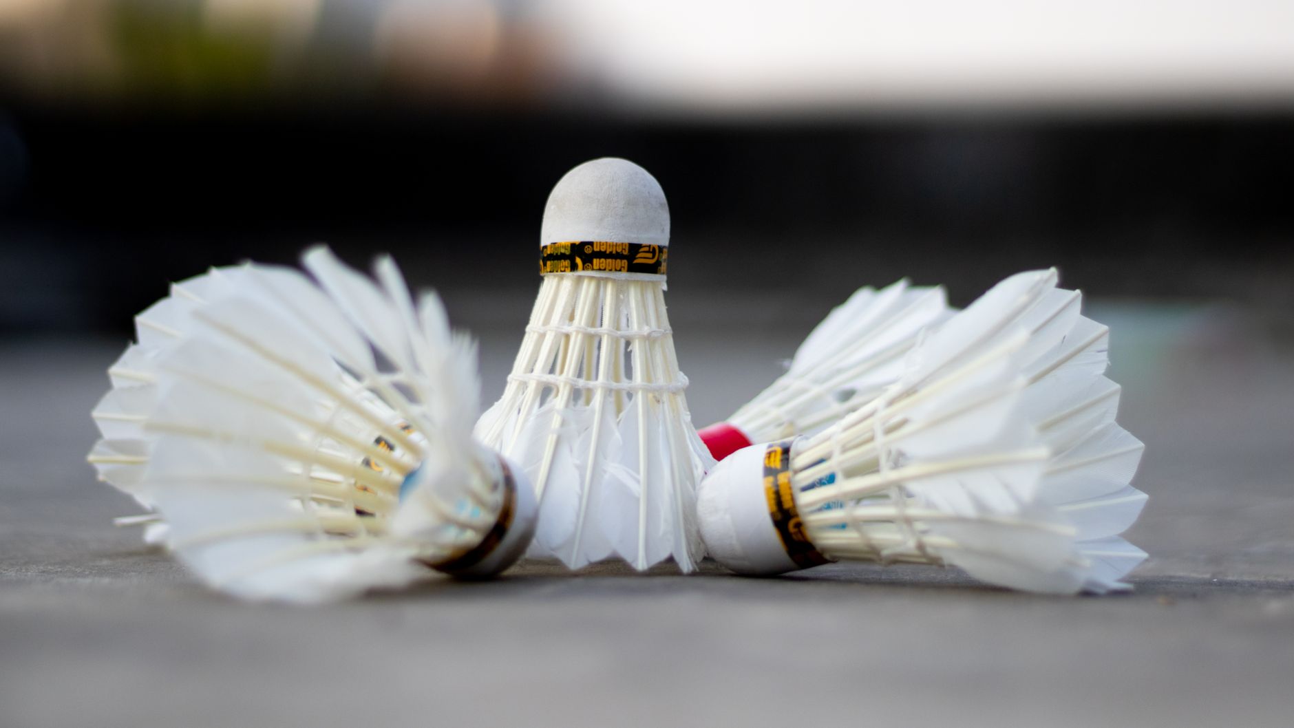 close up shot of a shuttlecock